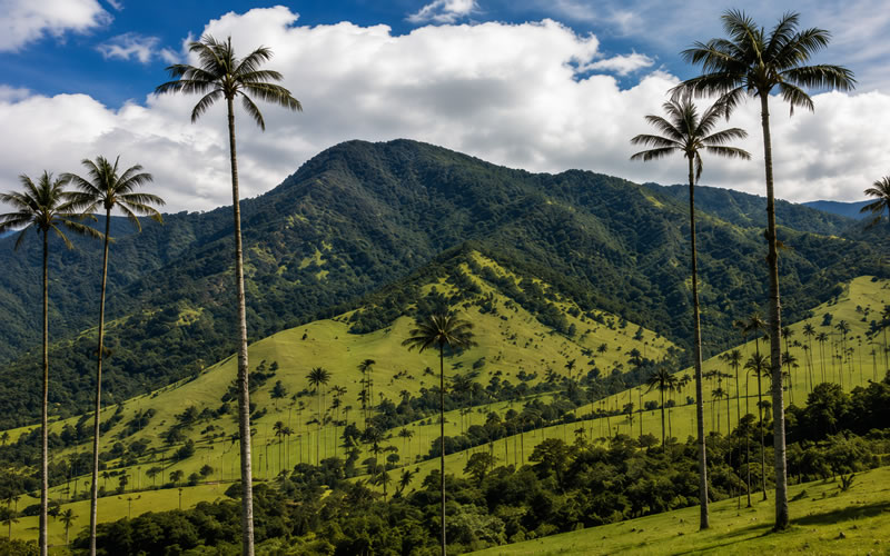 Armenia, Quindío